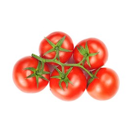 Bush Champion II Hybrid - Tomato Seeds