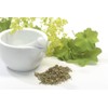 Health Embassy Lady's Mantle Herb (Alchemilla vulgaris L), 100g