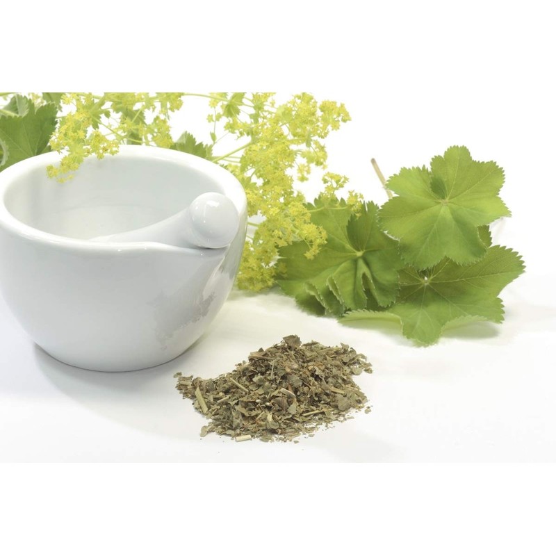 Health Embassy Lady's Mantle Herb (Alchemilla vulgaris L), 100g