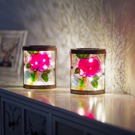 SUNNYSOLAR 2 Pack Hummingbird Hanging Solar Lanterns Outdoor Waterproof LED Light Tabletop Glass Solar Lantern for Garden Patio