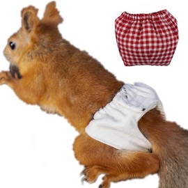 FORZENA Reusable Washable Squirrel Diapers Highly Absorbent with Strong & Flexible Pants No Leak Reusable Diapers Urine Wet Pants for Squirrel,Fancy Rat,Groundhog (L,Red Stripe)