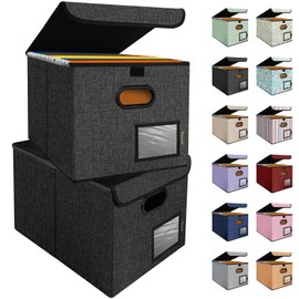 BALEINE File Organizer Box with Lid, Collapsible File Folder Organizer with Plastic Slide, Hanging File Folder Box for Office Document Storage (2 Pack, Black)