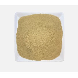 Roots Brigham Herb Mormon Tea Fine Powder Ceremony, Religious, nevadensis USA Ship - 1 KG