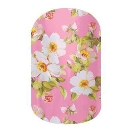 April 2015 Host Exclusive by Jamberry Nail Wraps ~ Full Sheet