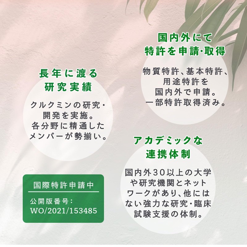 【カズレーザーと学ぶで紹介成分】KIGASURE 高吸収型 クルクミン サプリメント クルクルージュ 62粒 1ヶ月分 京都大学発ベンチャー 開発 202倍の吸収力