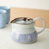 Ale-net Teapot, 16.9 fl oz (480 cc), Delicious Pot, Tokusa