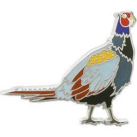 b2170616 animal friends pins pheasant