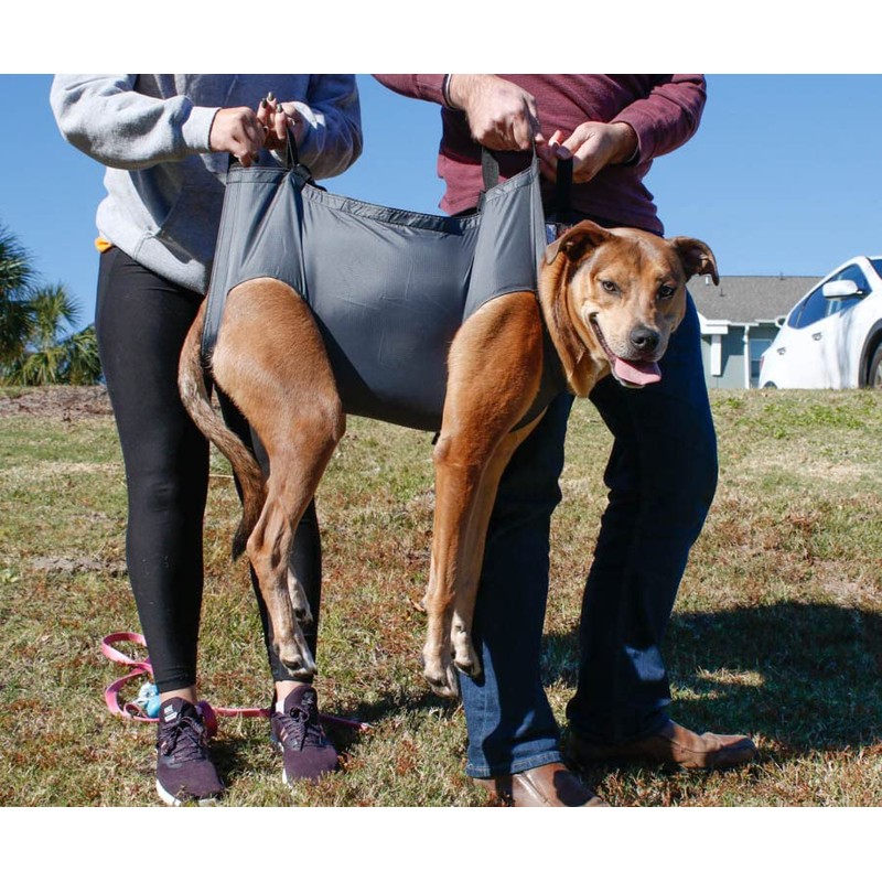 Rescue Essentials QuikLitter K9 - Emergency Transport Stretcher/Litter (Medium)