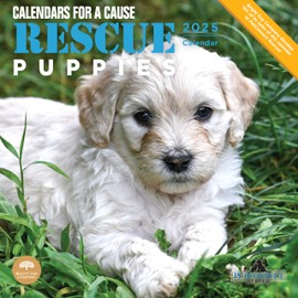 2025 Rescue Puppies Monthly Wall Calendar by Bright Day, 12 x 12 Inch