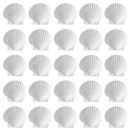 EOWVISN 25 Pieces Of Shell Decoration, Home Decoration Diy, Handicraft Shells, Diy Shell Decoration, Marine Element Decoration