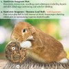 SunGrow Rabbit Grass Mat, Bunny Cage Accessories, Rabbit Stuff and