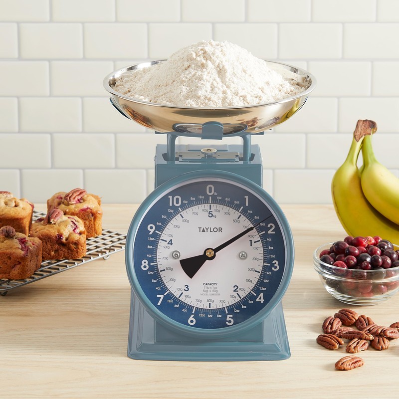 Taylor Mechanical Kitchen Weighing Food Scale with Bowl, Weighs up