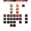 Schwarzkopf Igora Colour 60ml