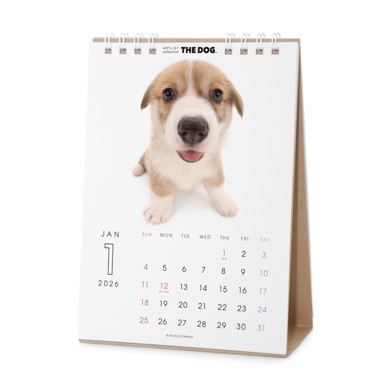 THE DOG 2026 Desktop Calendar (Welsh Corgi)