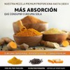 Nature's Nutrition | Cúrcuma con BioPerine 1950mg | Soporte Articular
