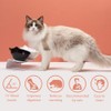 Leo's Paw Anti-Vomiting Orthopedic Cat Bowl Elevated 15° Tilted Cat