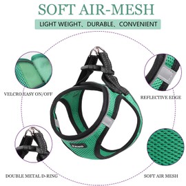 PUKAKO Puppy Harness and Leash Set, Small Dog Harness and Leash Set, Step in Small Size Harness with Soft Mesh and Reflective Bands for Extra-Small/Small Dogs, Green, XS