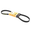 Drive Belt for Volkswagen Golf Jetta Rabbit CONTINENTAL