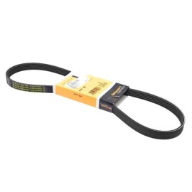 Drive Belt for Volkswagen Golf Jetta Rabbit CONTINENTAL