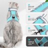 Cat Harness, No Shedding Double Lock, Easy, Cat Leash Harness,