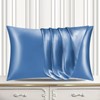 Pamposh Satin Silk Pillowcases For Hair And Skin 2 Pack