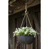 Artstone Fiona hanging basket , 25x12 cm