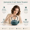 40.6oz Cast Iron Tea Kettle for Stove, Teapot with Infuser