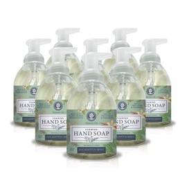Nature's Oil Foaming Hand Soap, Eucalyptus Mint, 10 Fluid Ounces (Case of 8)