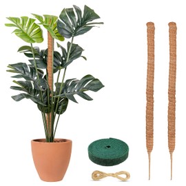 EcoNour EcoNour Moss Pole for Plants C 48 inches 2 Pack | Monstera Plant Support for Plant Climbing and Growth | Elevate Your Indoor Garden, Plant Support for Indoor Potted Plants to Grow Upwards