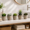 Artificial Succulent Plants in Decorative Cement-Style Pots – 5-Piece Faux