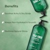 Botanic Hearth- Champú de árbol de té, vitamina C, aceite