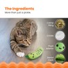 Catstages Crunchy Pickle Kicker Toy with Catnip and Dental Mesh,