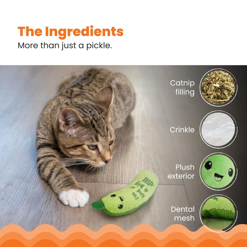 Catstages Crunchy Pickle Kicker Toy with Catnip and Dental Mesh,
