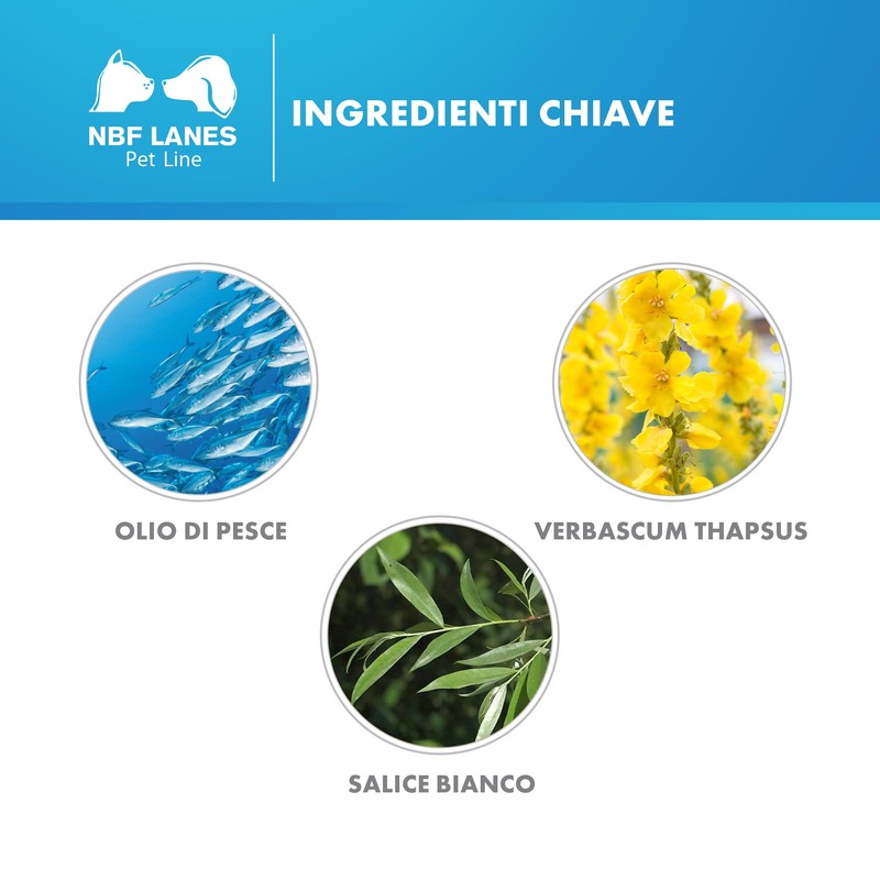 N.b.f. Lanes Artikrill Dol Cane Flacone 200 Pearl