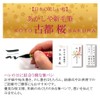 Akashiya SAW-S-500P New Brush Pen Ancient City Cherry Blossom