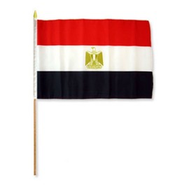 RFCO Egypt 12"x18" Stick Flag (6)