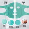 Perfect Remedy Ice Pack Cold Face Eye Masks Reduce Face