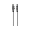 Belkin Premium Printer Cables Cable6 Ft4 Pin USB Type B