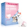 Ambreview Disposable Dog Diapers Female, Just Pull It Up, Doggie
