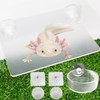 OOXYG Axolotl Hammock Ledge for Aquarium and Feeding Dish with