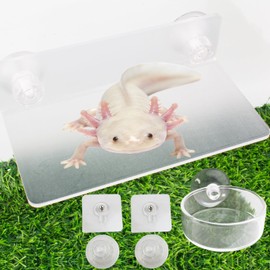 OOXYG Axolotl Hammock Ledge for Aquarium and Feeding Dish with Suction Cup, 2-in-1 Axolotl Tank Accessories Set, Axolotls Transparent Acrylic Shelf Perch Hammock with Adhesive Pads, Aquarium Decor
