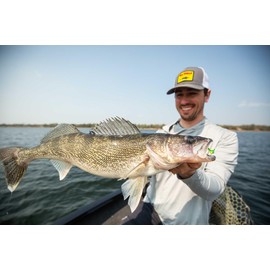 Northland Fishing Tackle Gum-Ball Jig for Panfish, Walleye, Bass, and Trout, Black, 1/32 Oz, 15/Card