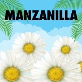 Shampoo Manzanilla L´oréal Kids Todo Tipo De Cabello 265 Ml