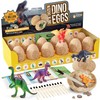 Dig a Dozen Dino Egg Kit for Kids - Dinosaur
