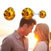 Amber Ball Earring Silver Double Sided Amber Stud Earrings Gift