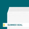 6x9 Booklet Envelopes - 50 pack - Mailing Envelopes with