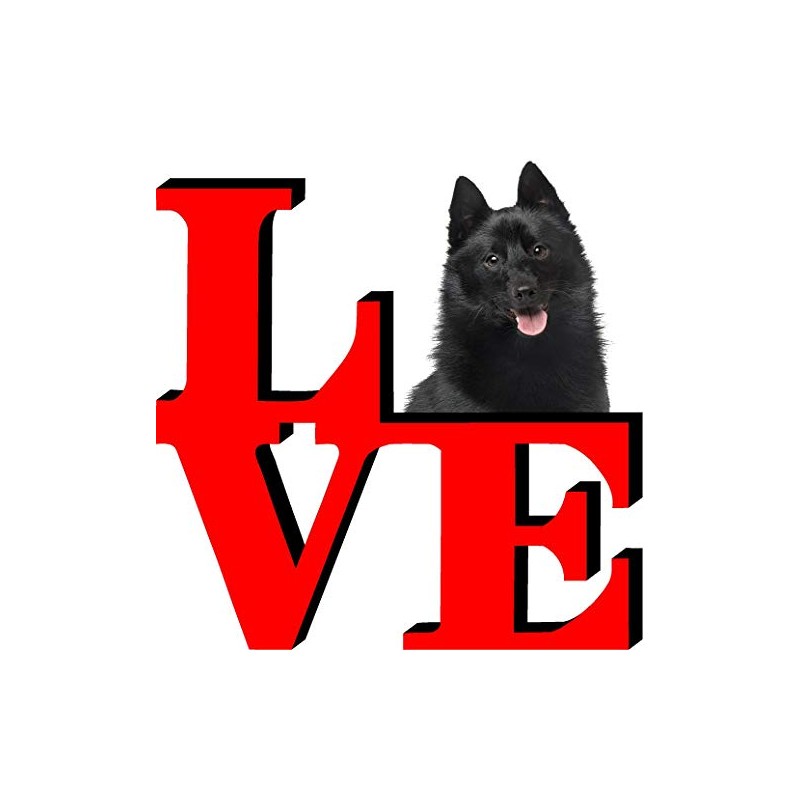 Schipperkes Dog Love Park Cute Dog Fridge Refrigerator Car Magnet