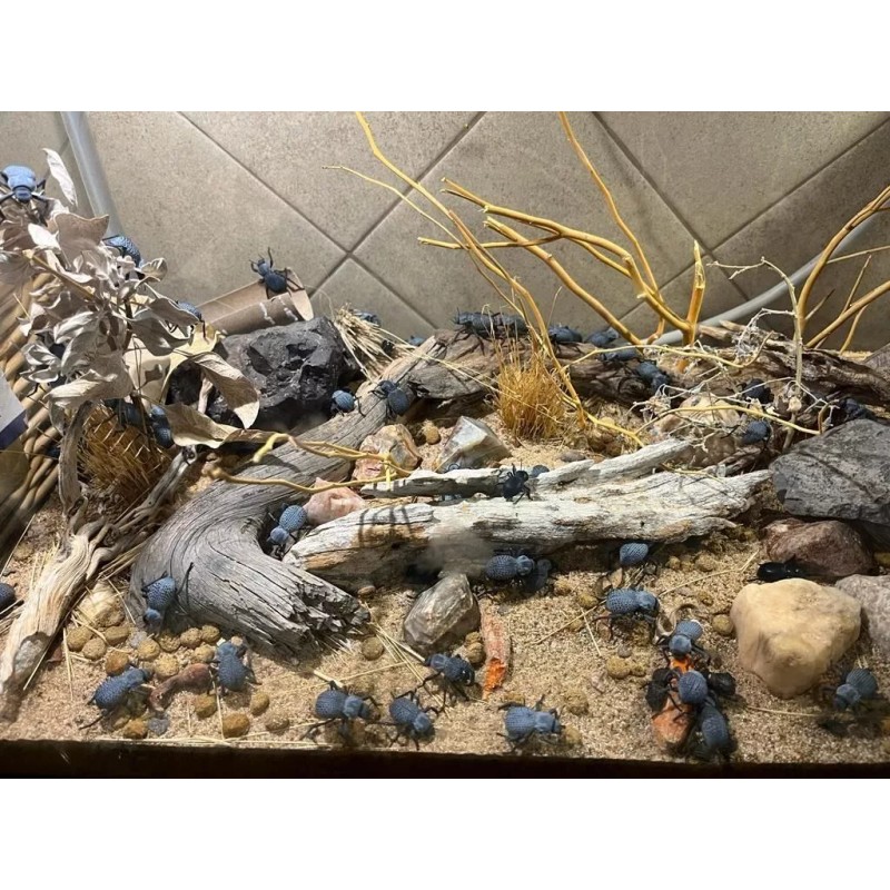 Unbranded Flawed Blue Death Feigning Beatlee (Group of 20!) WHOLESALE