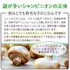 syanpinion East , , ,