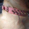 Hifrenchies Studded Dog Collars Mushroom Studded Adjustable Microfiber Leather Pet